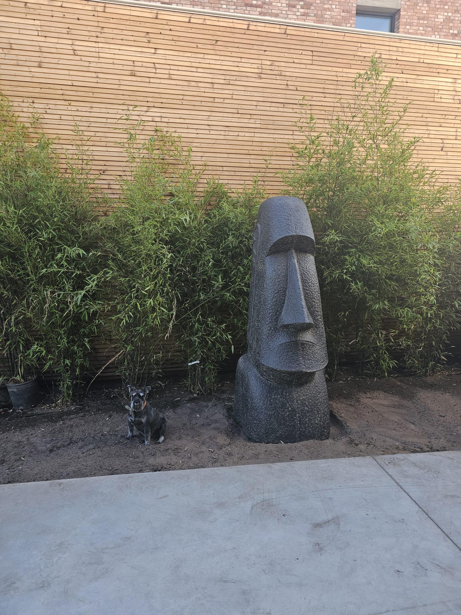 Moai statue 175cm