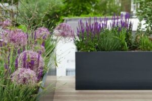 Plantenpotten inspiratie ideeën voor thuis, kantoor of in een mooie tuin eliassen.nl