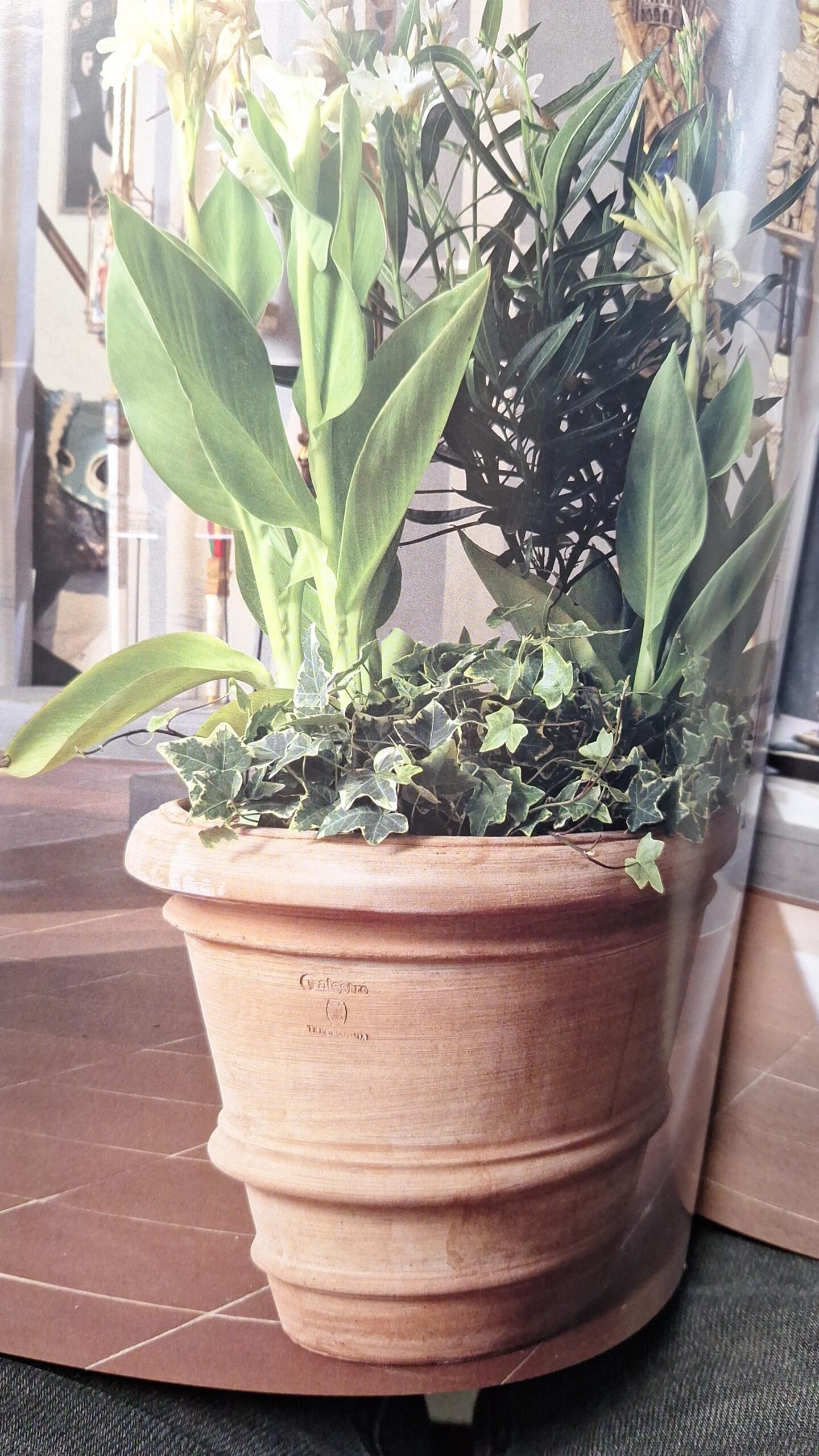 Terracotta pot Toscaans Imprunetino liscio 70cm