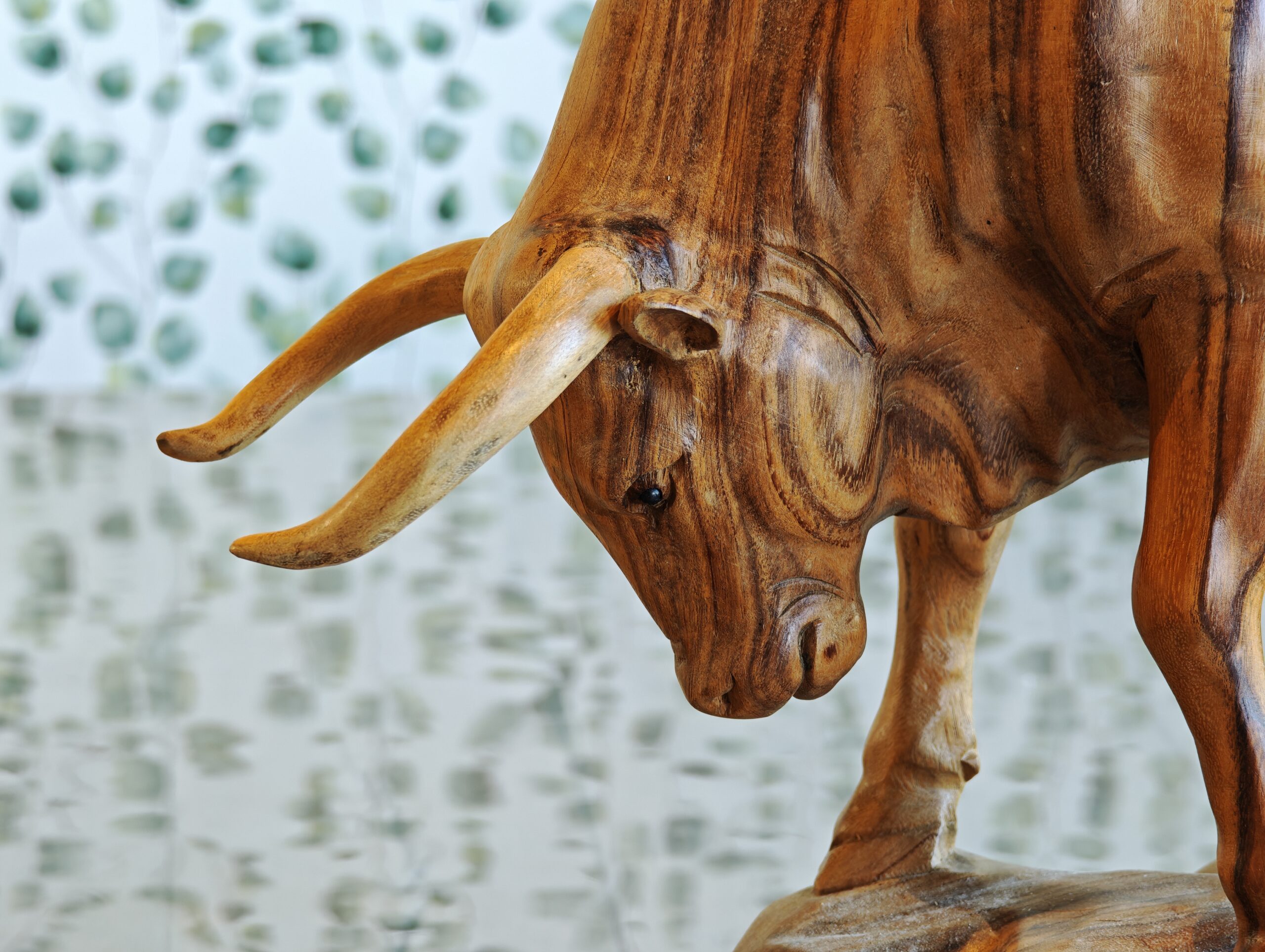 Houten beeld Sina stier 50cm