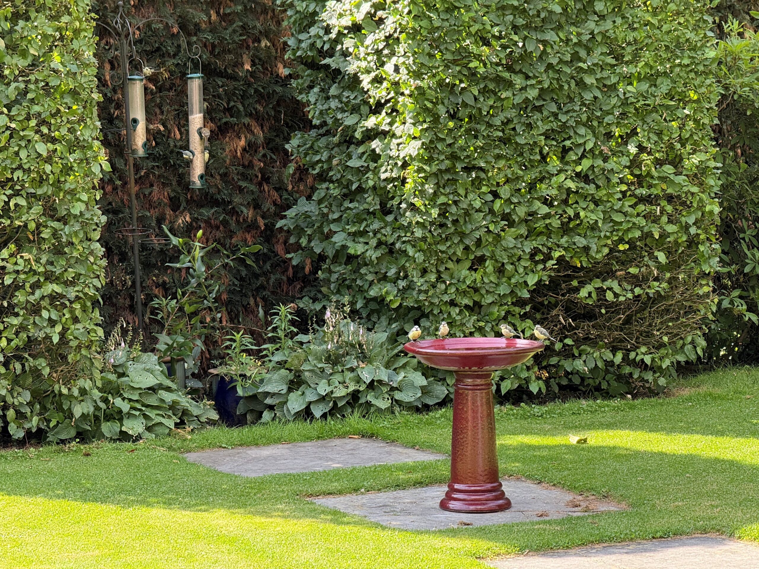 Vogeldrinkschaal Keramiek Oase rood 60cm
