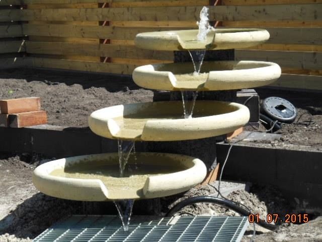 11701127-1675046089393875-6639734337692478981-n