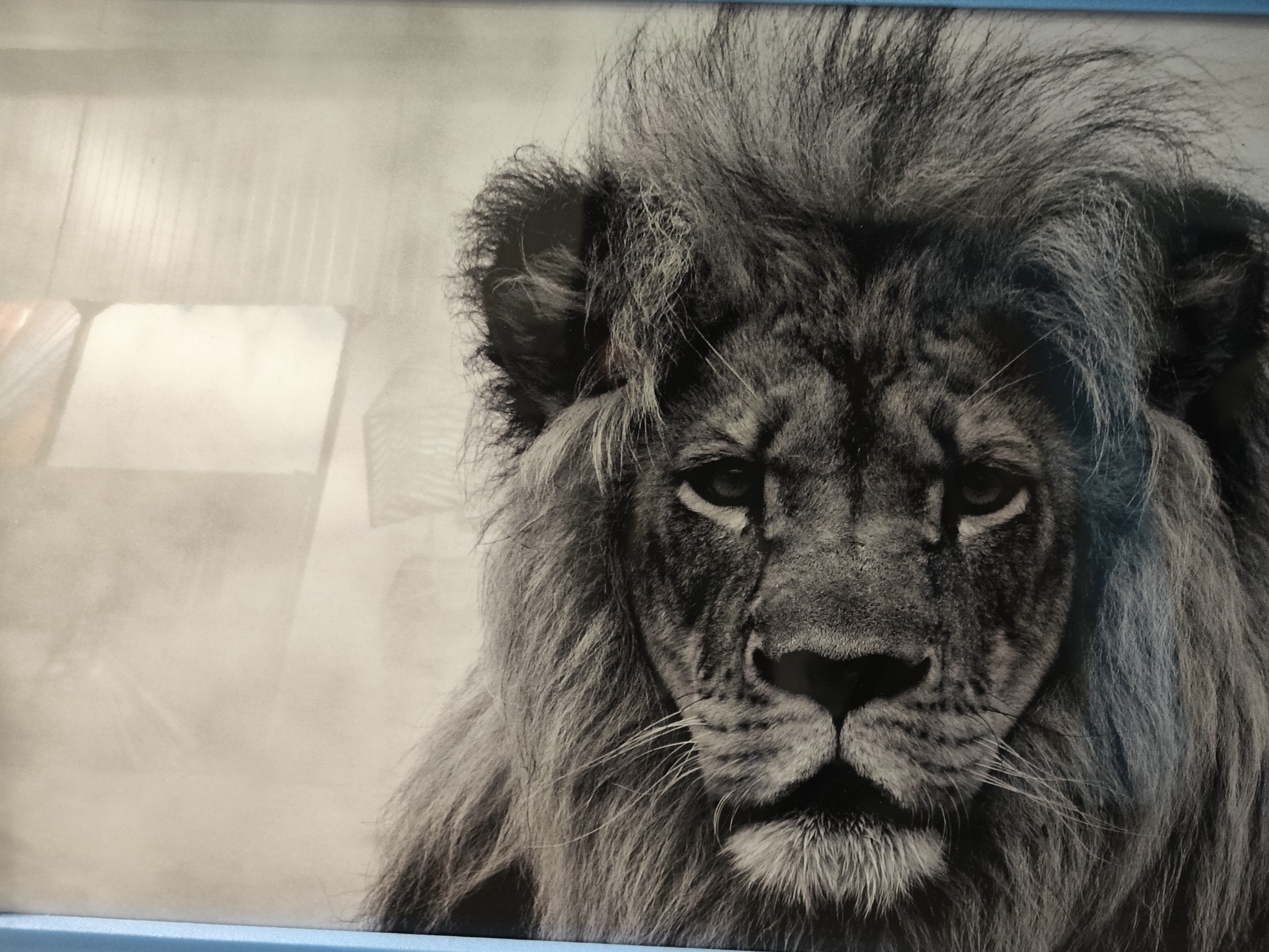 16996235619133636550037872456358