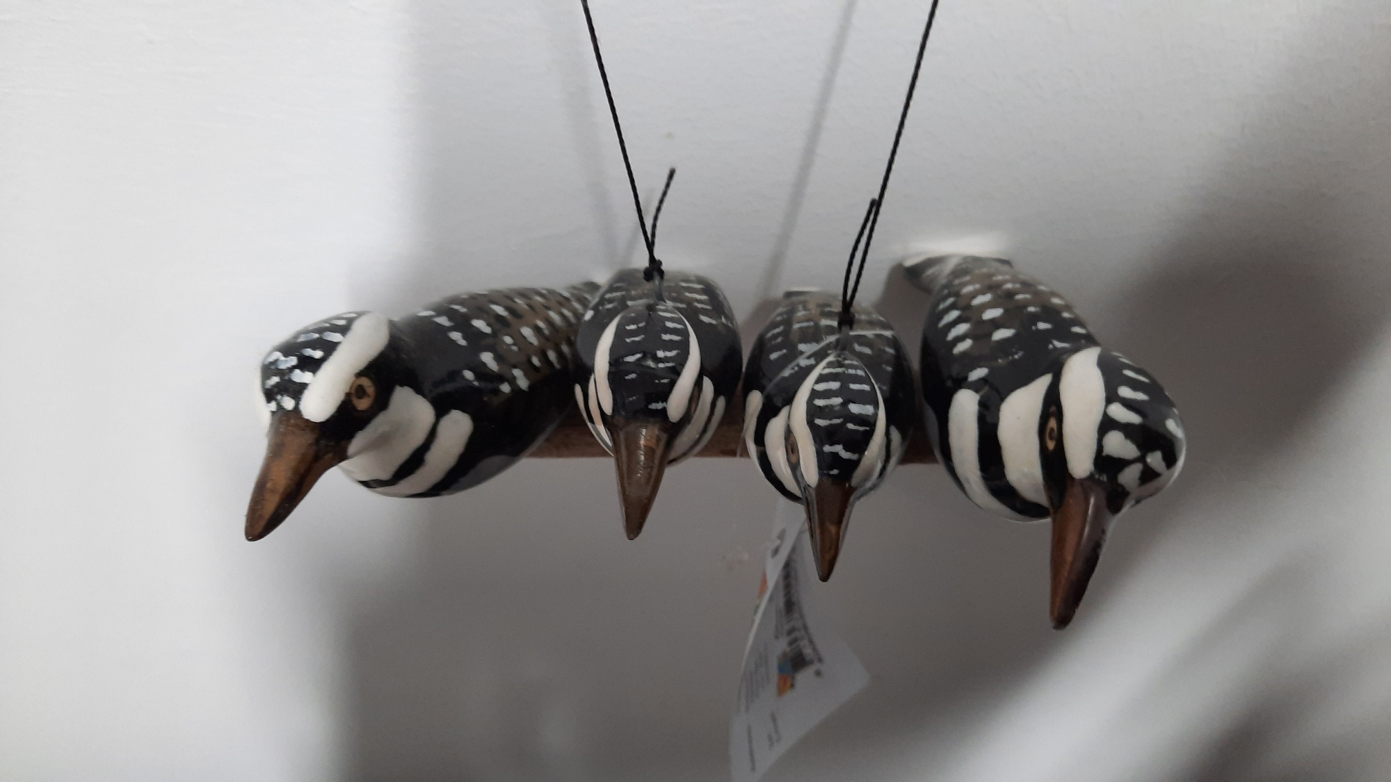 20220927_165232_resized