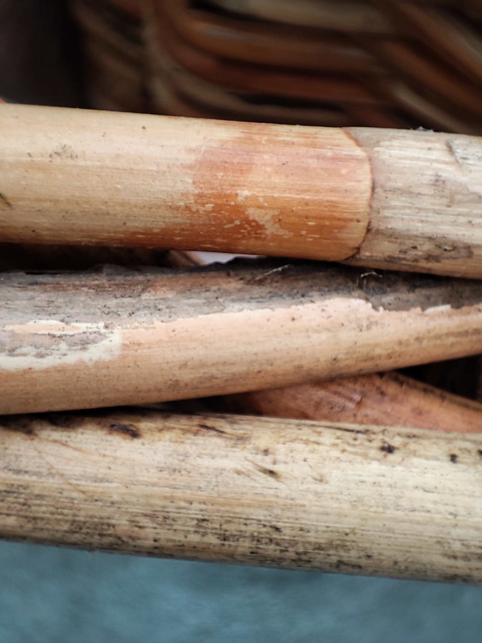 a3c9728f-84f1-4302-b578-3cd8e98a189e