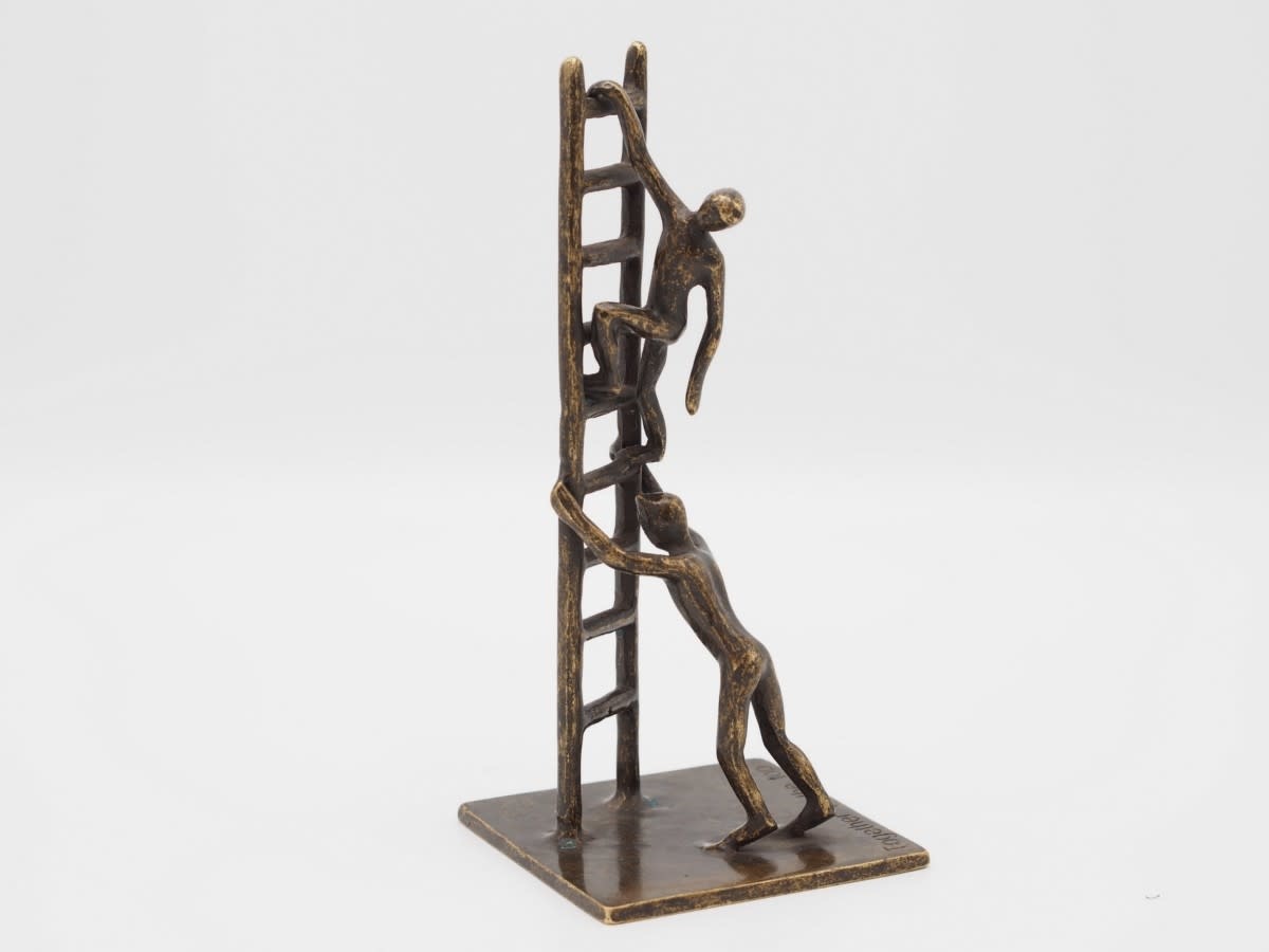 AN2835BR-BI-22x10x10-cm