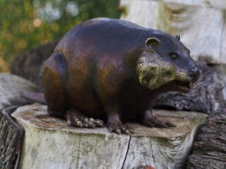 bronzen bever - eliassen.nl
