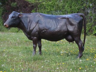 bronze large cow - eliassen.nl
