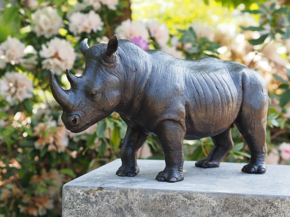 Bronze Rhinoceros-Eliases.com
