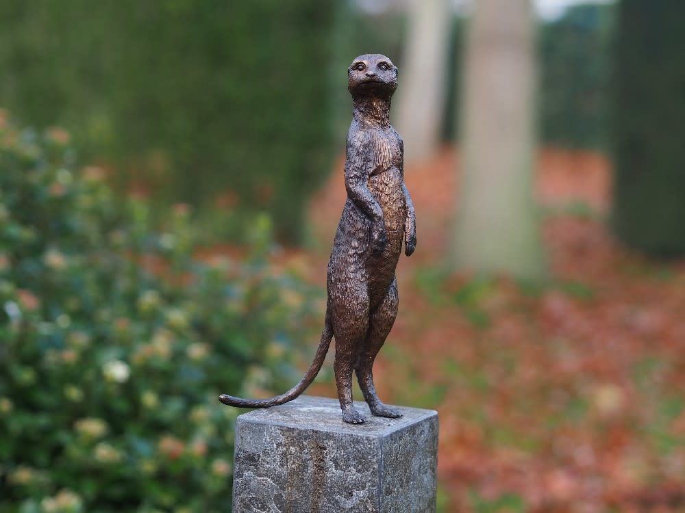 Bronze meerkat-Eliases.com
