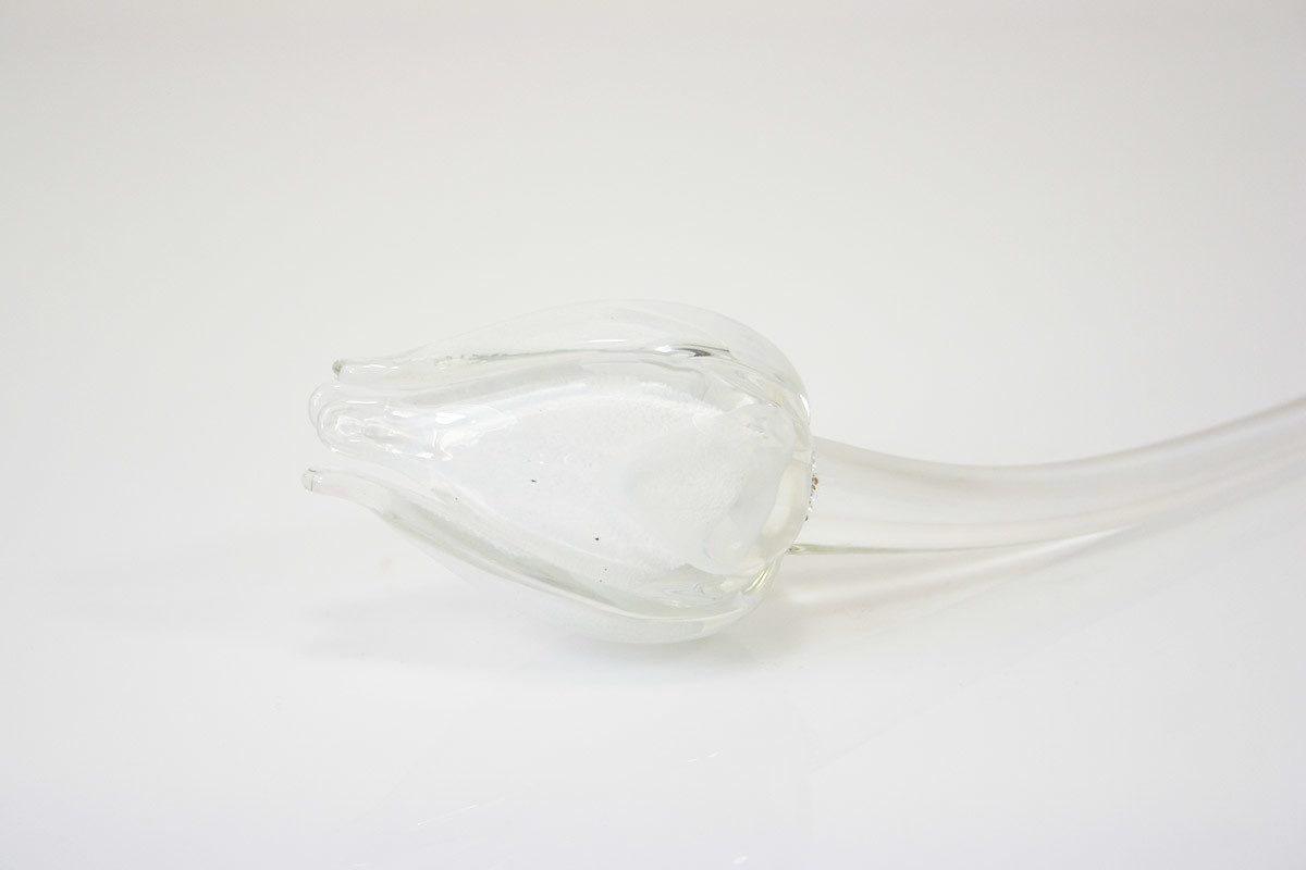 Eliassen Bloem glas Tulp wit