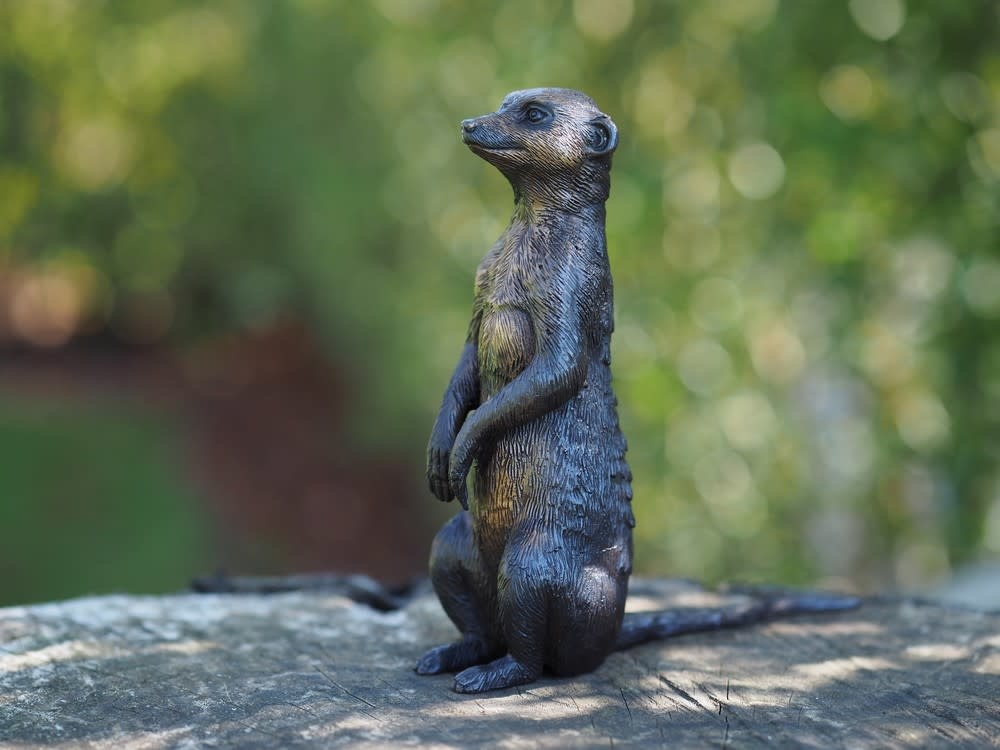 Eliassen Bronze meerkat