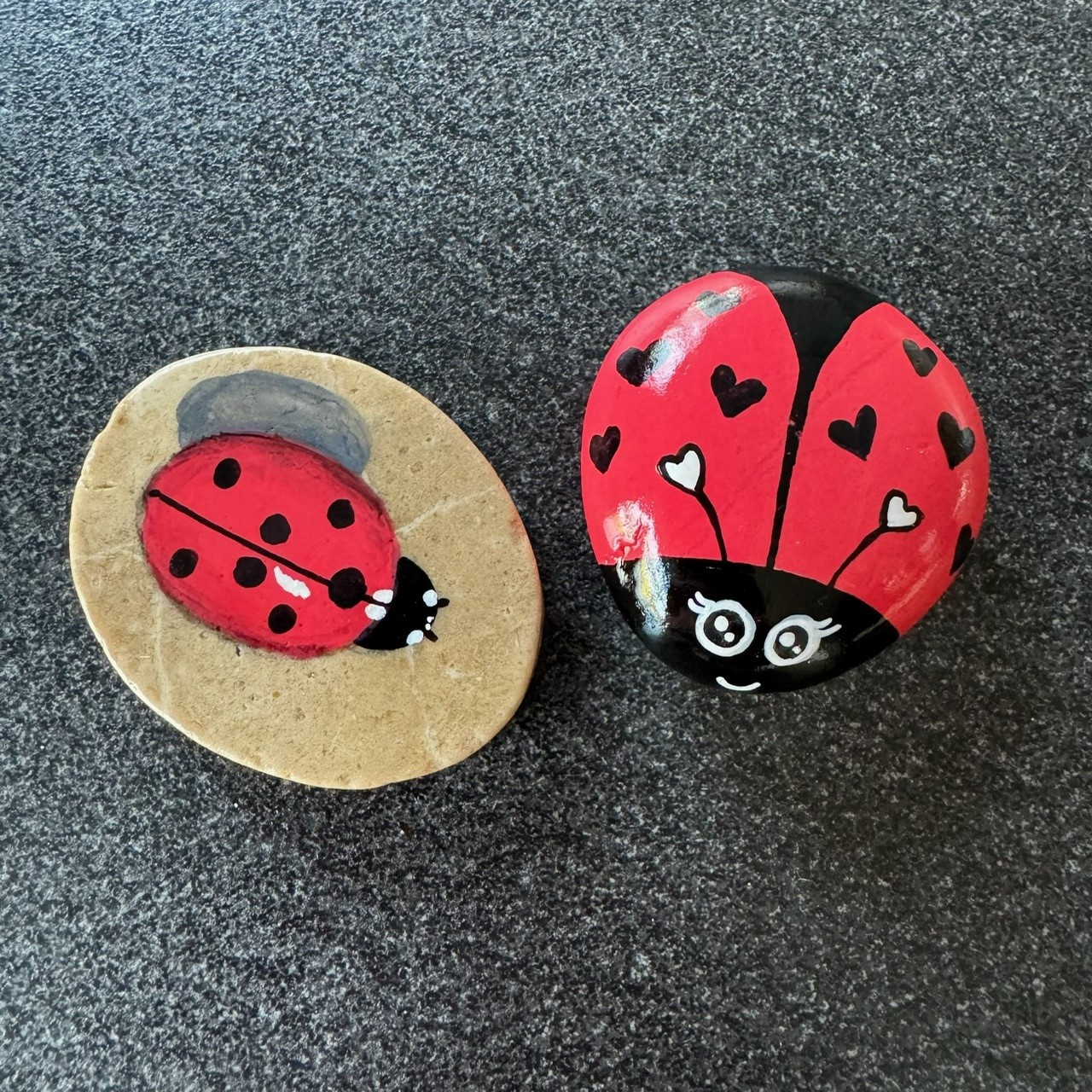 Eliassen best stones boulders for painting happy stones discs brown