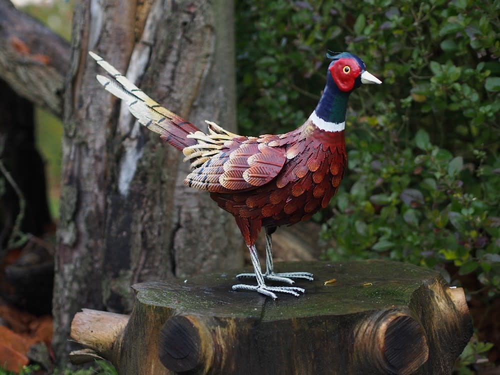 Eliassen Fazant metaal 60cm