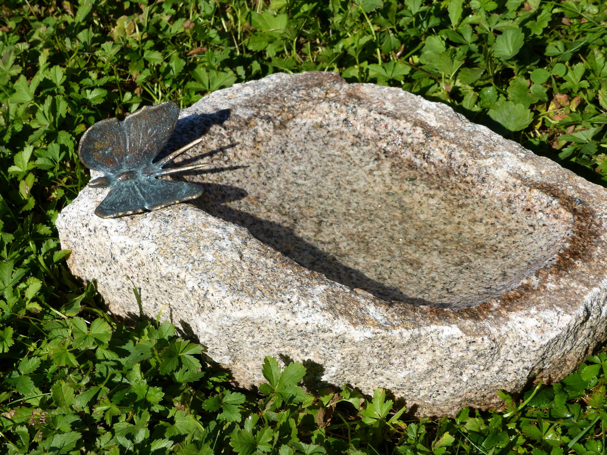 Eliassen Insect watering hole granite with bronze butterfly