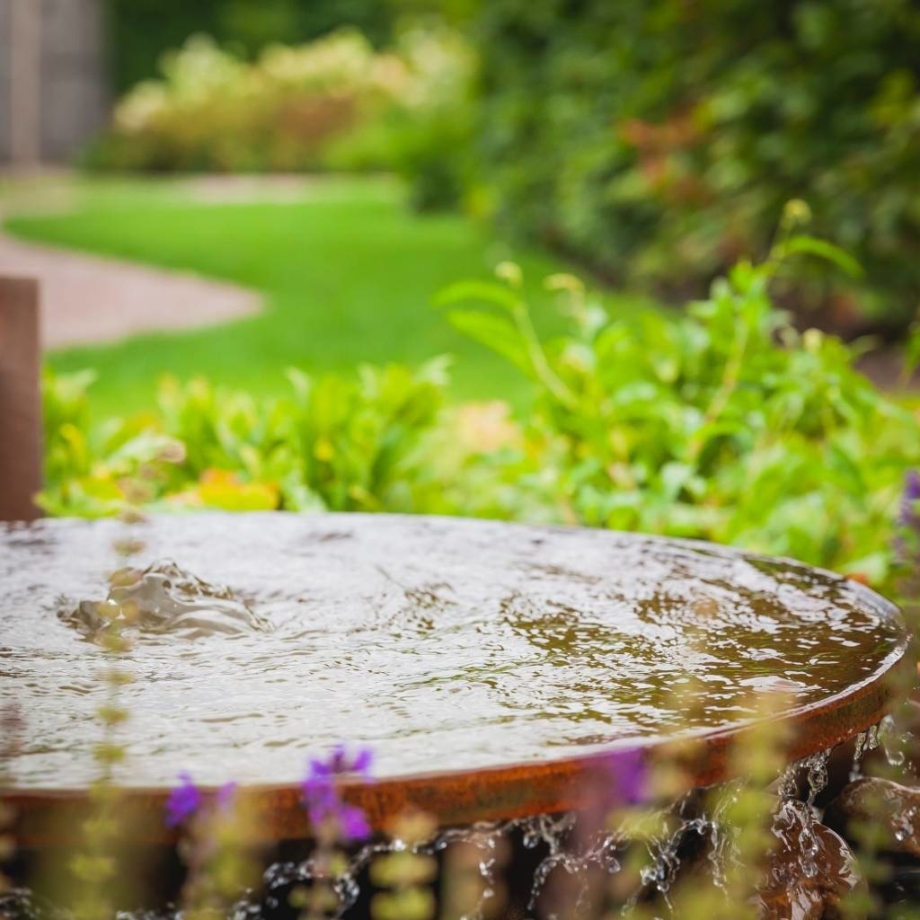 Eliassen Wassernapf Cortenstahl