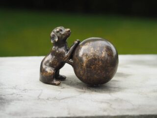 fv0569rw-bi-17x6x10-cm