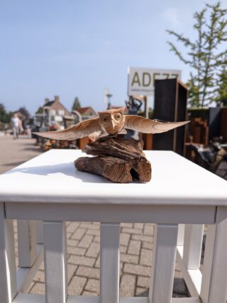 Wooden sculpture owl on bog wood eliassen.nl