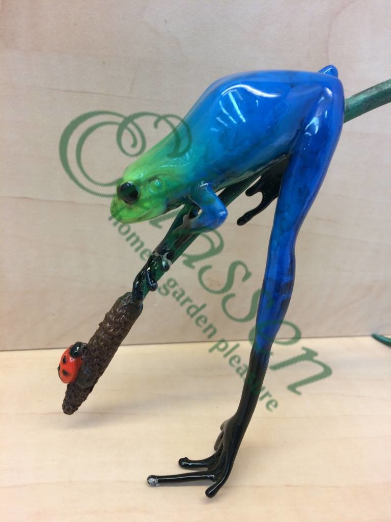 img-4290-waterermarked