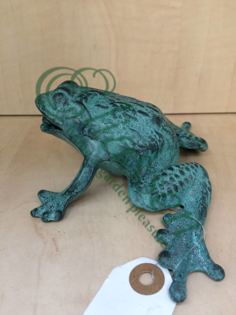 img-4493-watermarked