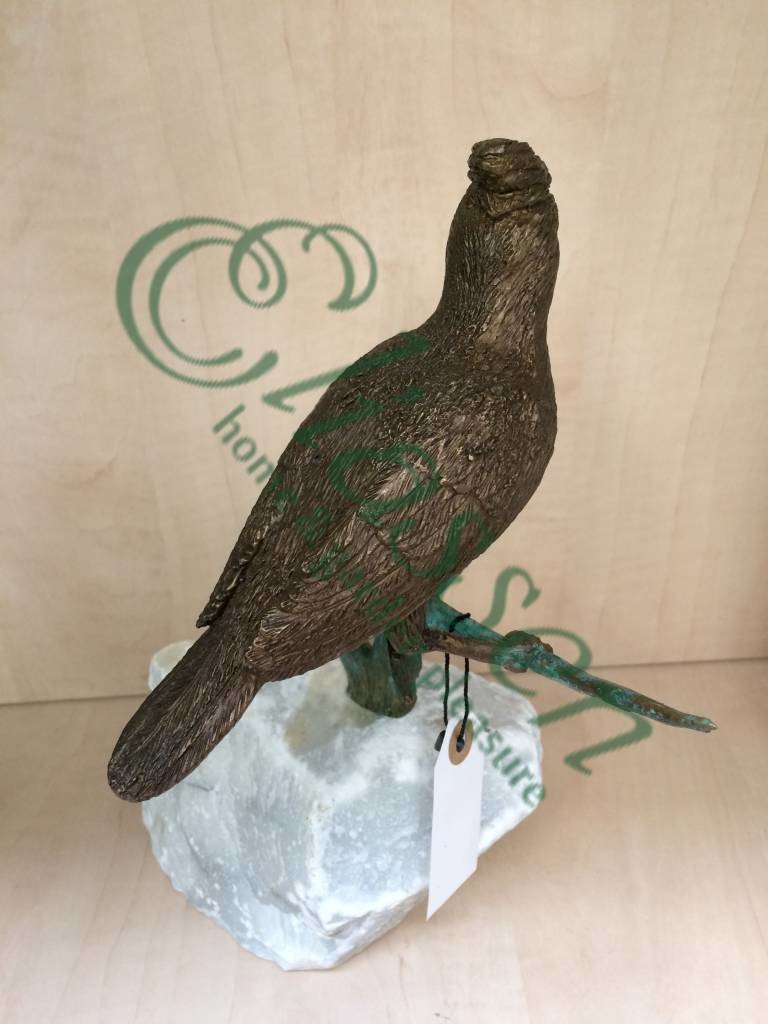 img-4531-waterermarked