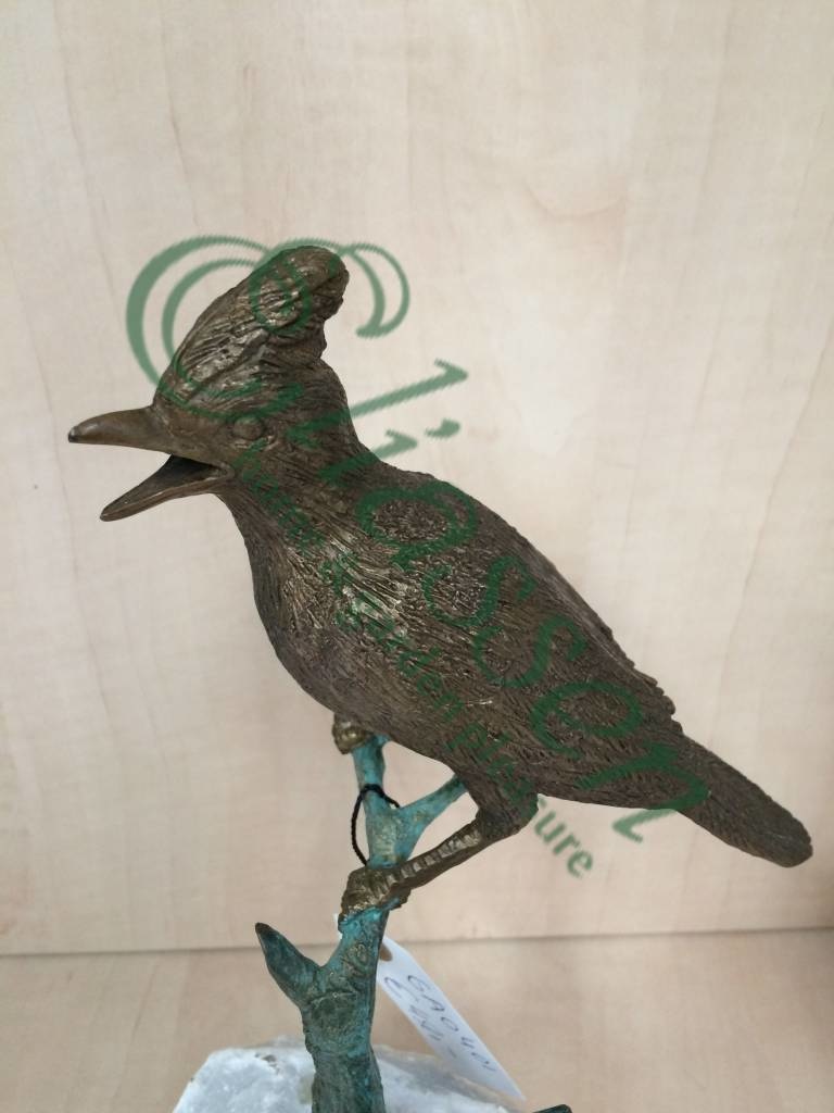 img-4532-waterermarked