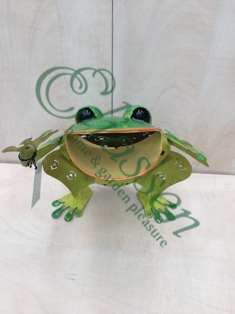 img-5330-watermarked