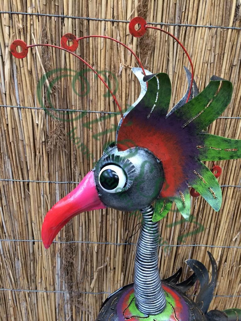 img-5500-waterermarked