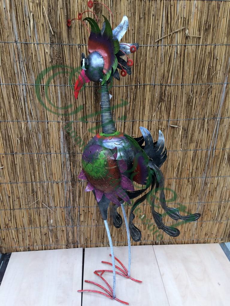 img-5501-waterermarked