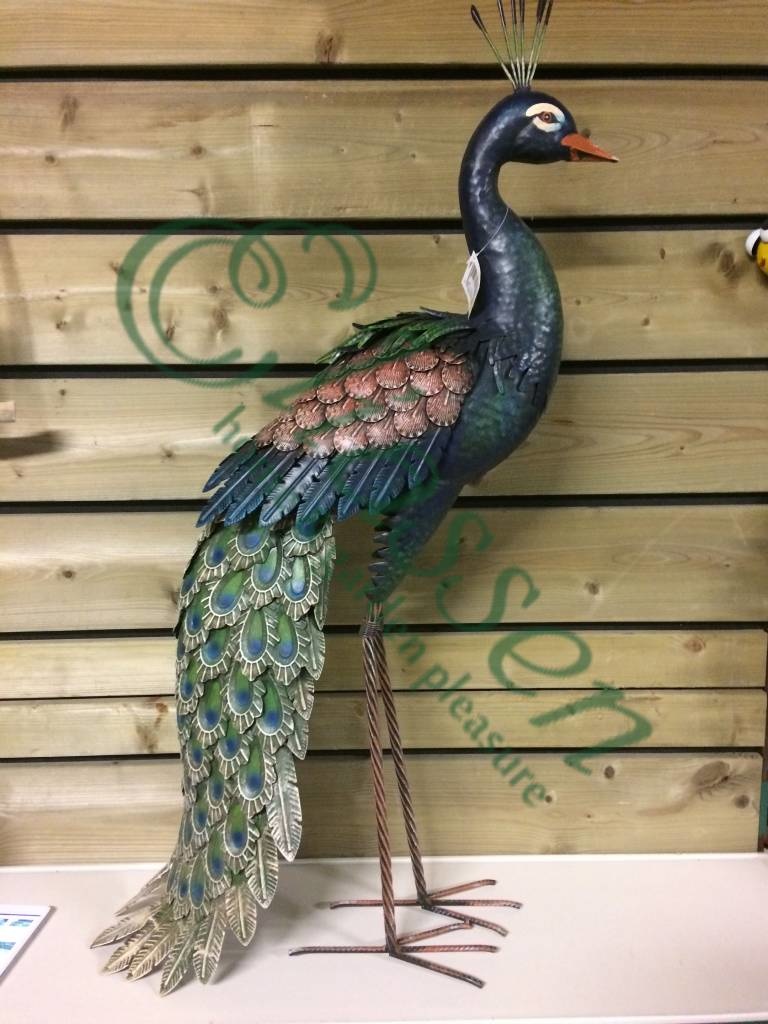 img-6927-watermarked