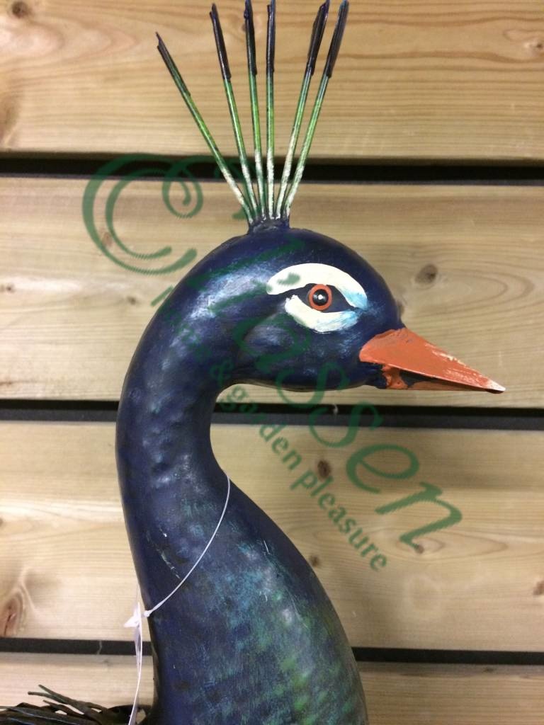 img-6928-watermarked