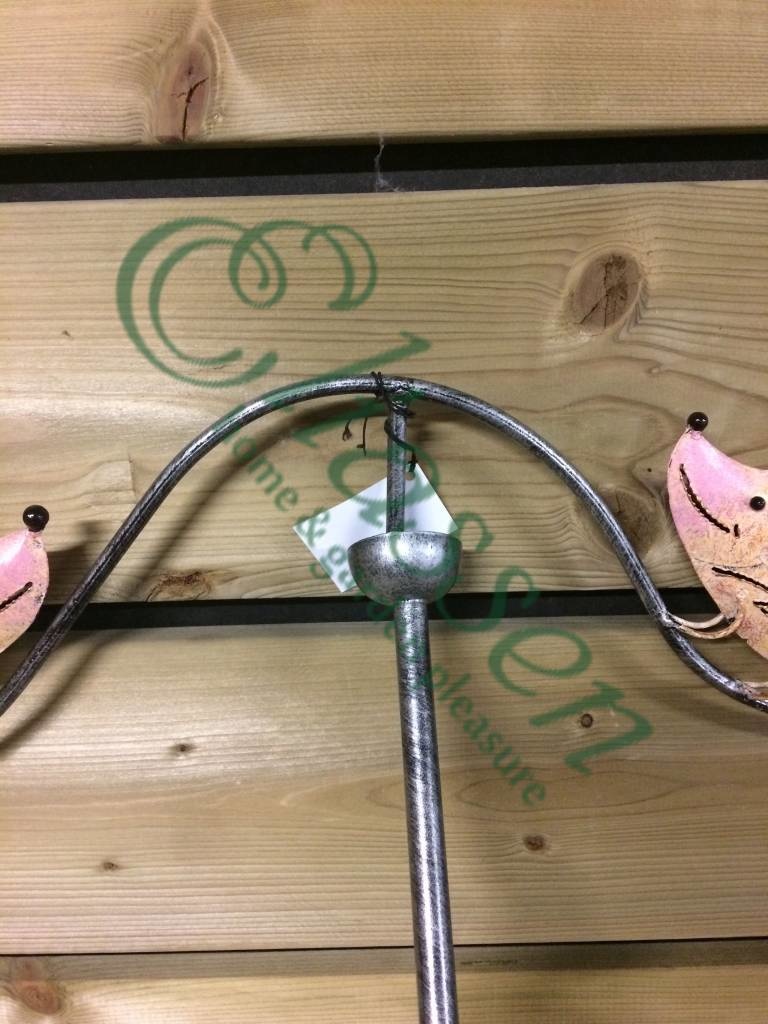 img-6978-watermarked