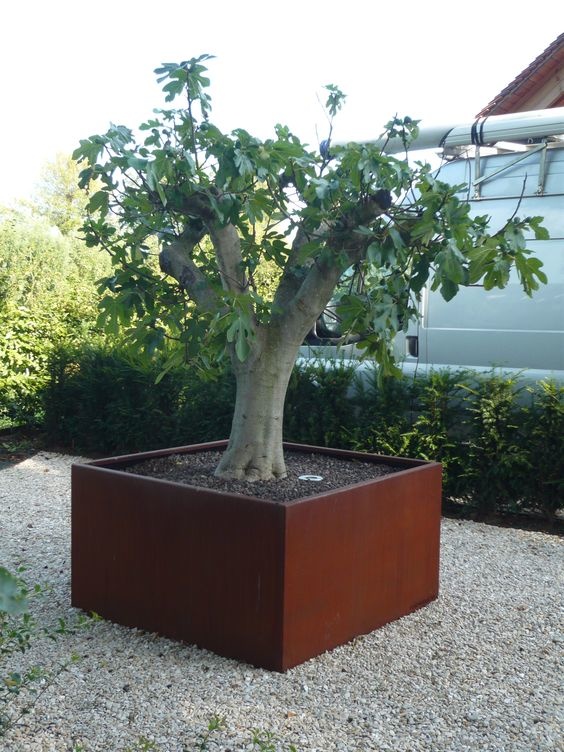 Plantenbak Cortenstaal Eliassen.nl 4