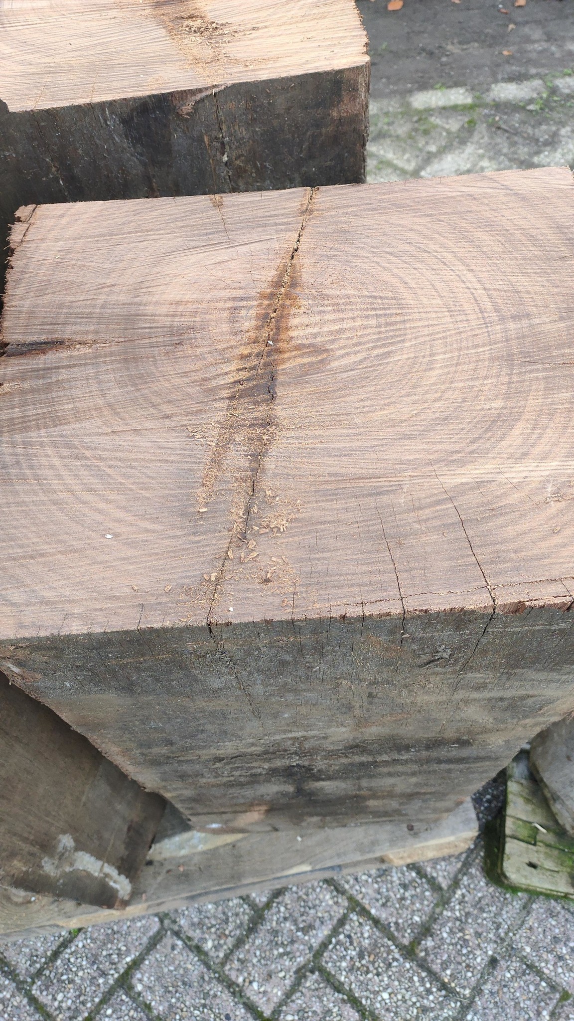 processed-1bc4025f-eeb0-493b-ad21-1a240f1e0e4d_8GMEgbUY