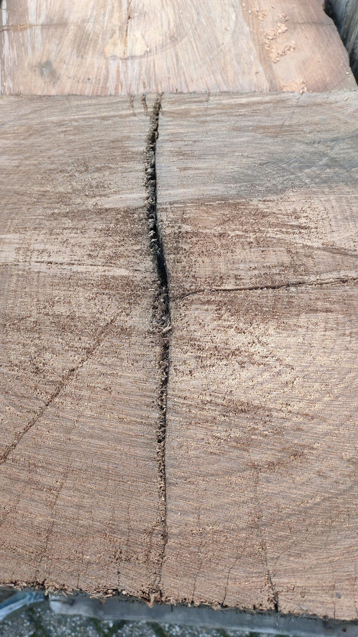 processed-3cd54908-9647-4b83-9e08-bb10bbf1e760_Cr0wNfaQ