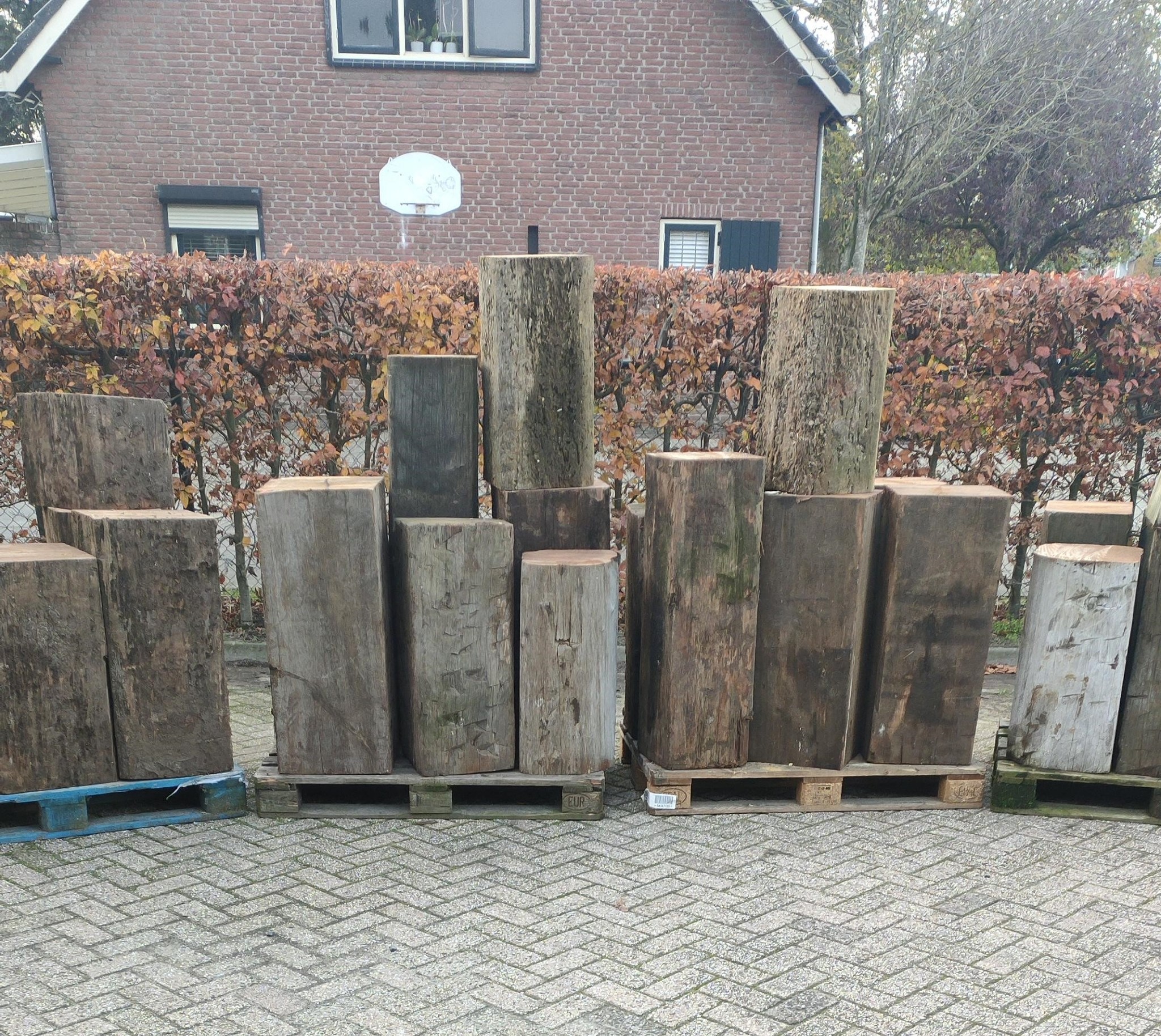 processed-dcea98ac-36e7-4458-b378-9e23ad5b0bfb_KdQYoi3T