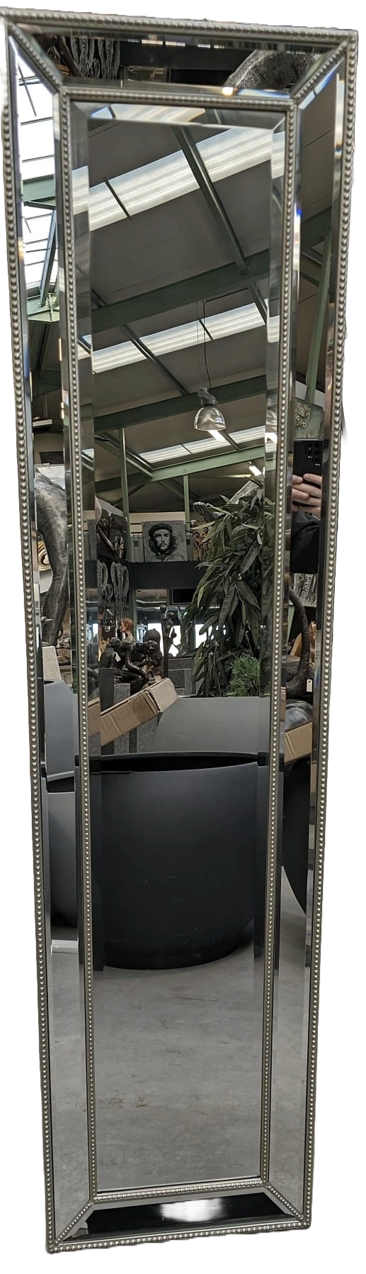 Spiegel staand rechthoekig zilver Parijs 40x160cm eliassen.nl.
