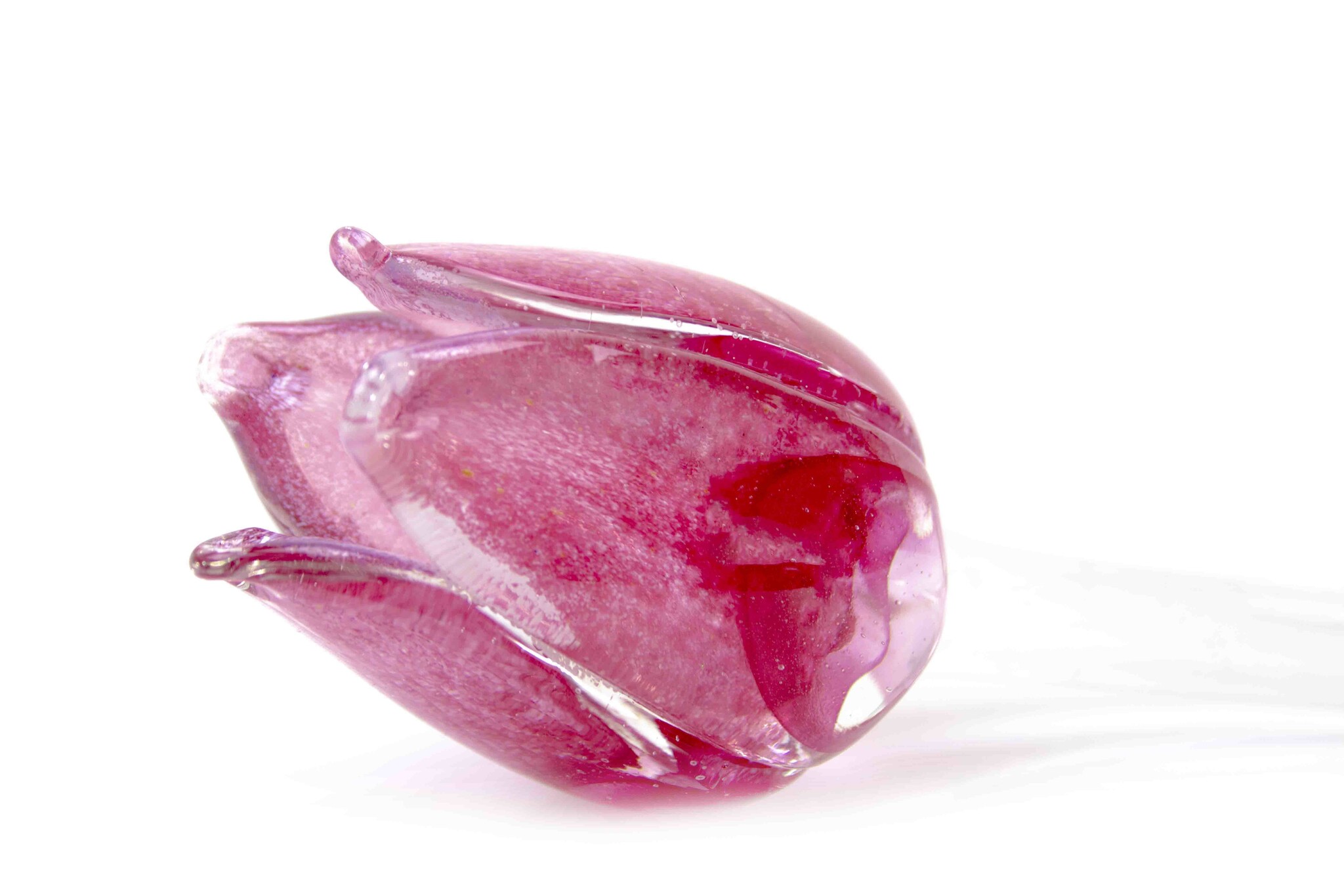 Tulip of glass pink good