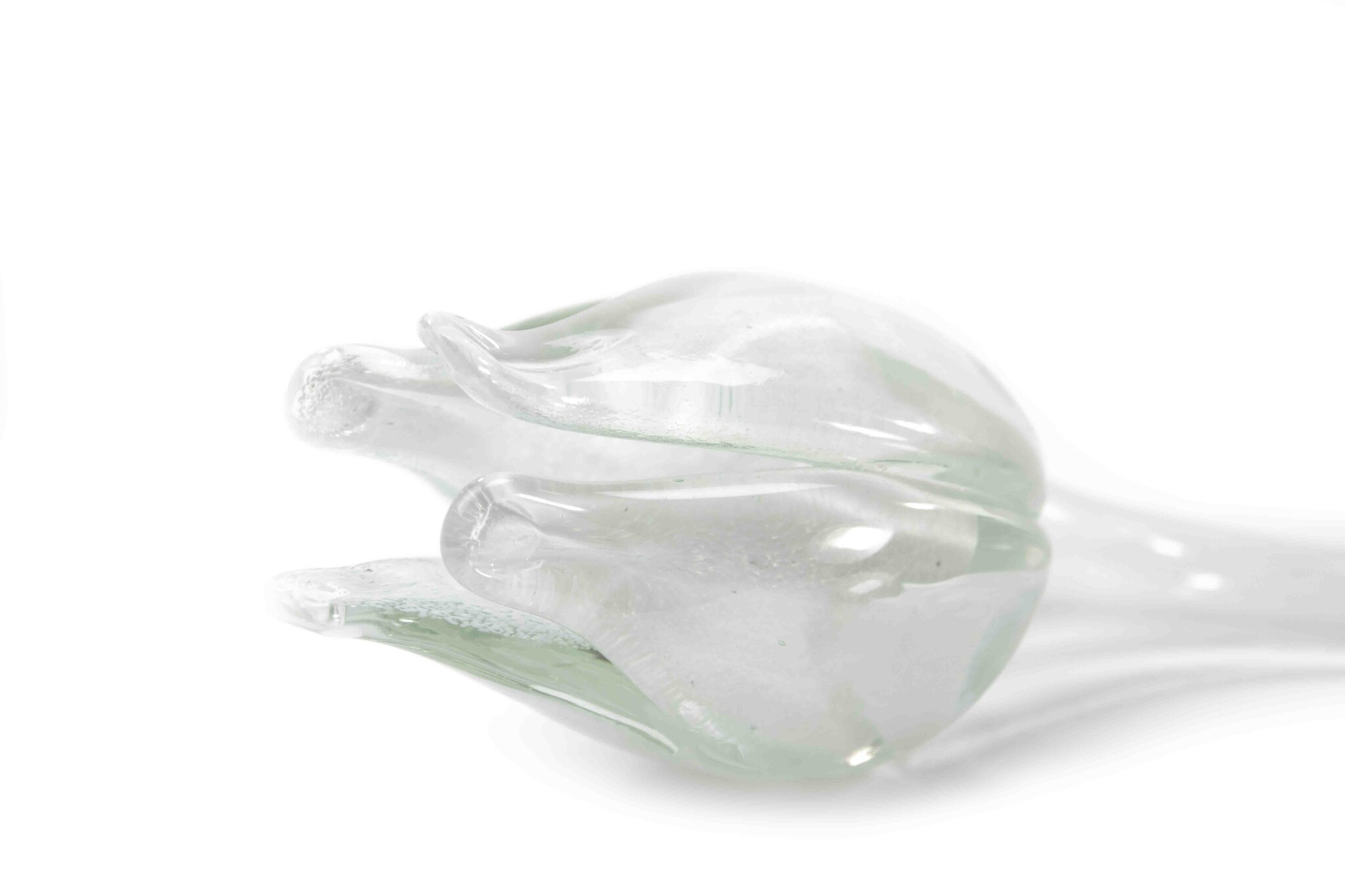 Tulp van glas Wit nieuw