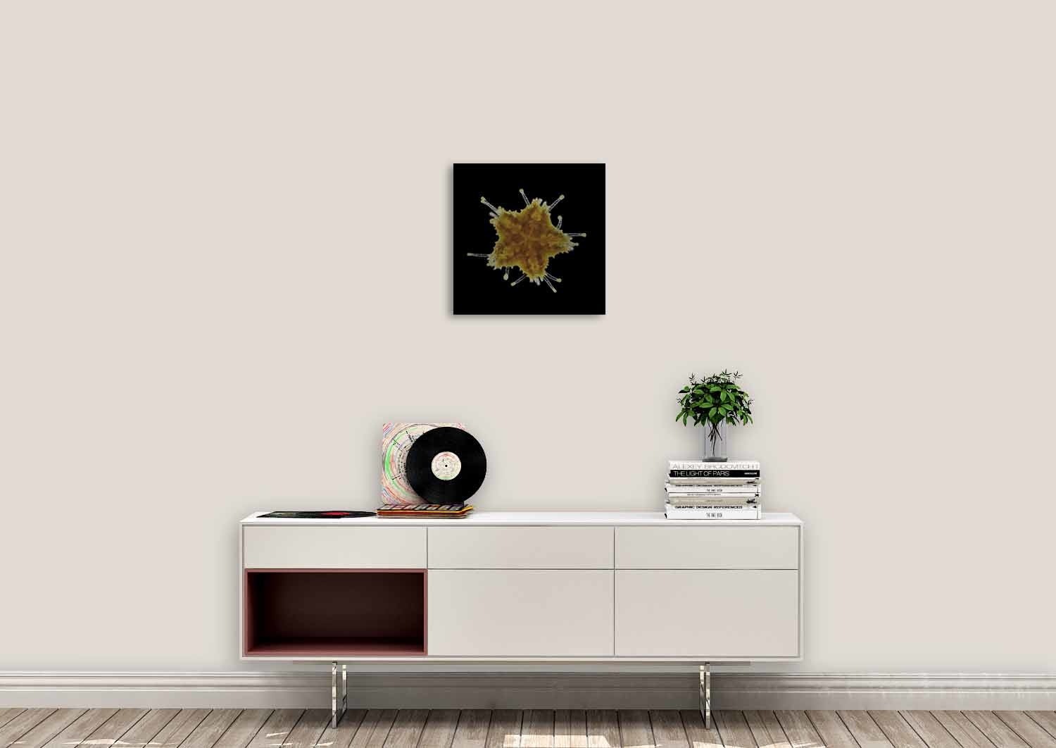 urb-wonderful-life-018-188-74x74-rvs-mko_mu_1