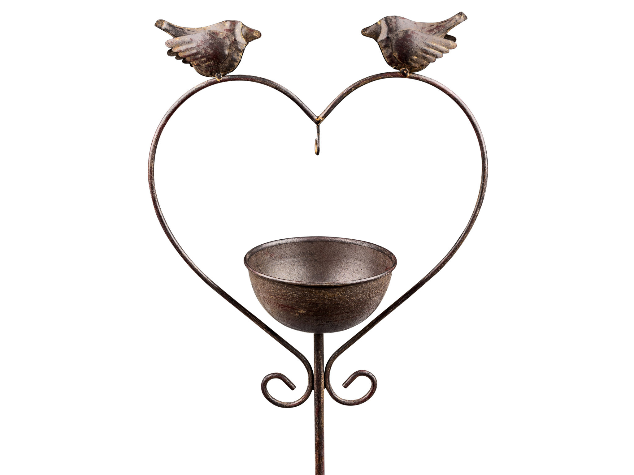 bird for scale on pin bird love eliassen.co.uk 556264