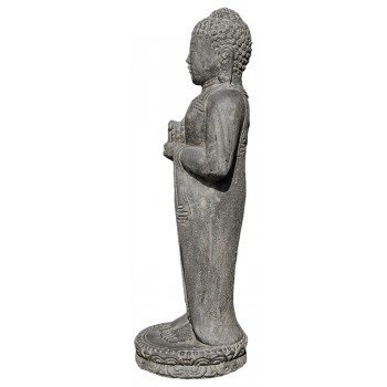 wwwboeddha-damainl-boeddha-staand-chakra-2