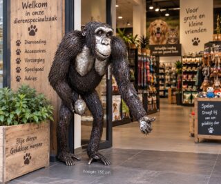Chimpansee in dierespeciaalzaak