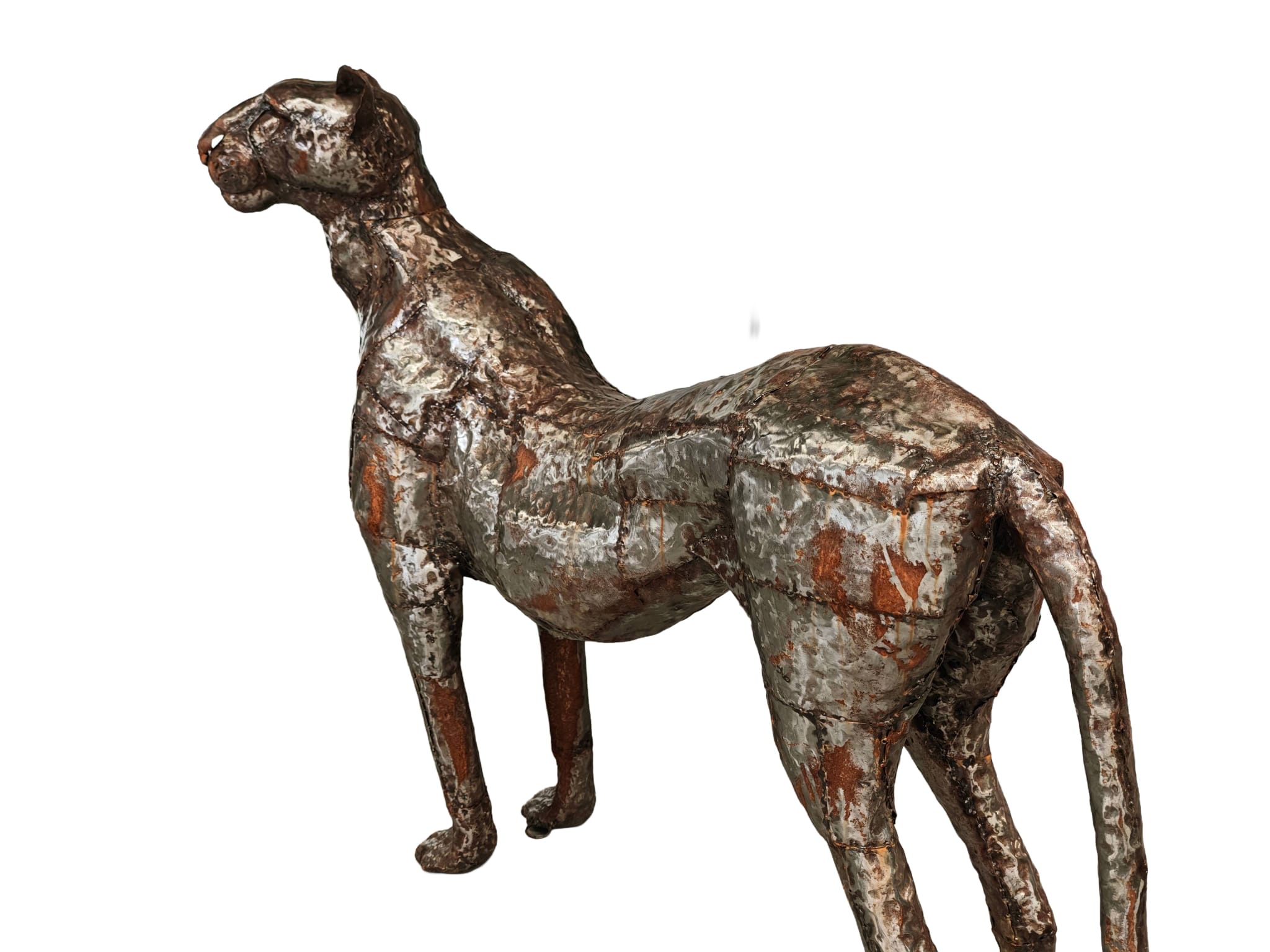 Groot tuinbeeld Cheeta van metaal 180cm eliassen.nl 5