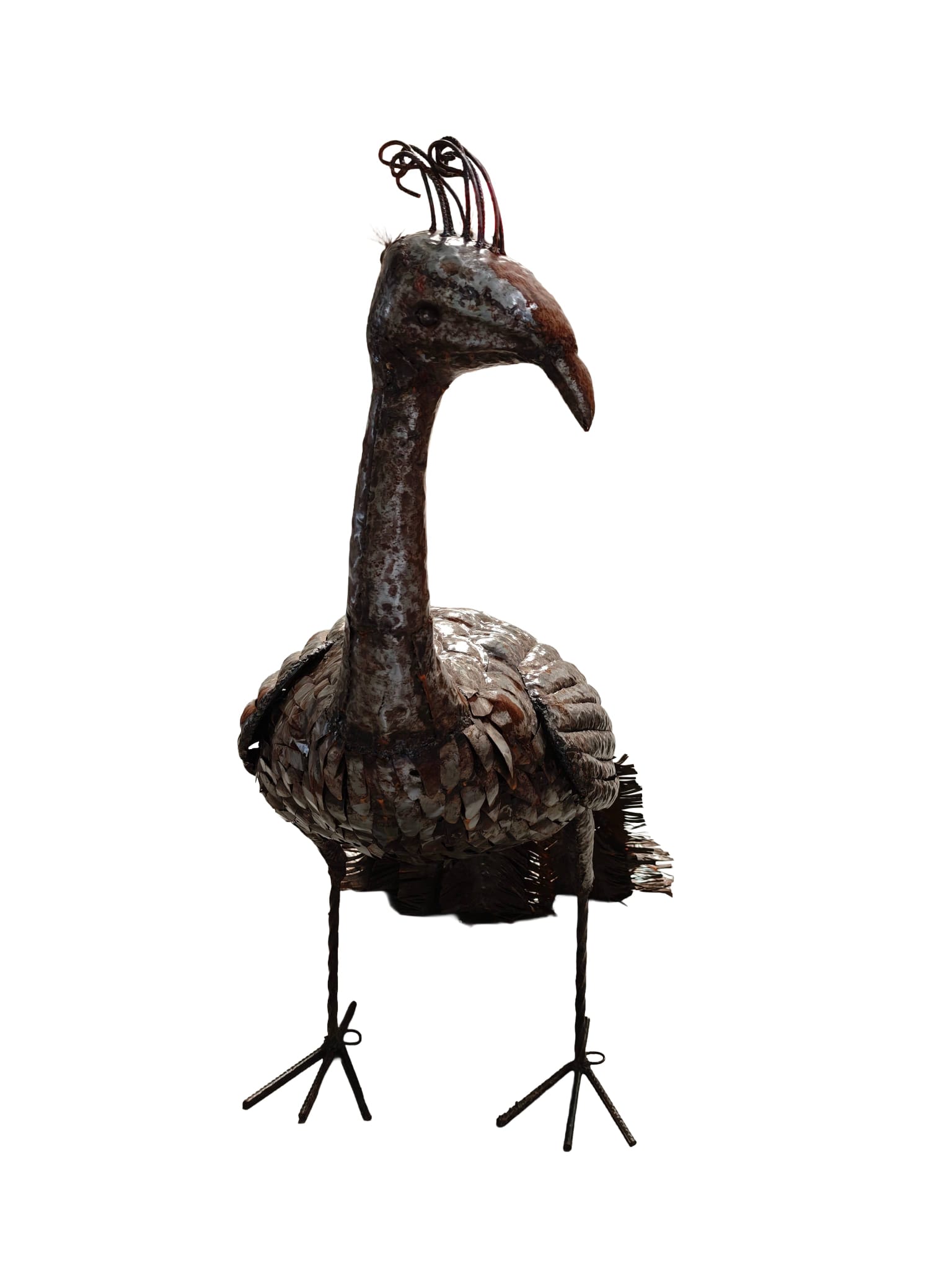 Groot tuinbeeld Pauw van metaal staart omlaag 170cm eliassen.nl