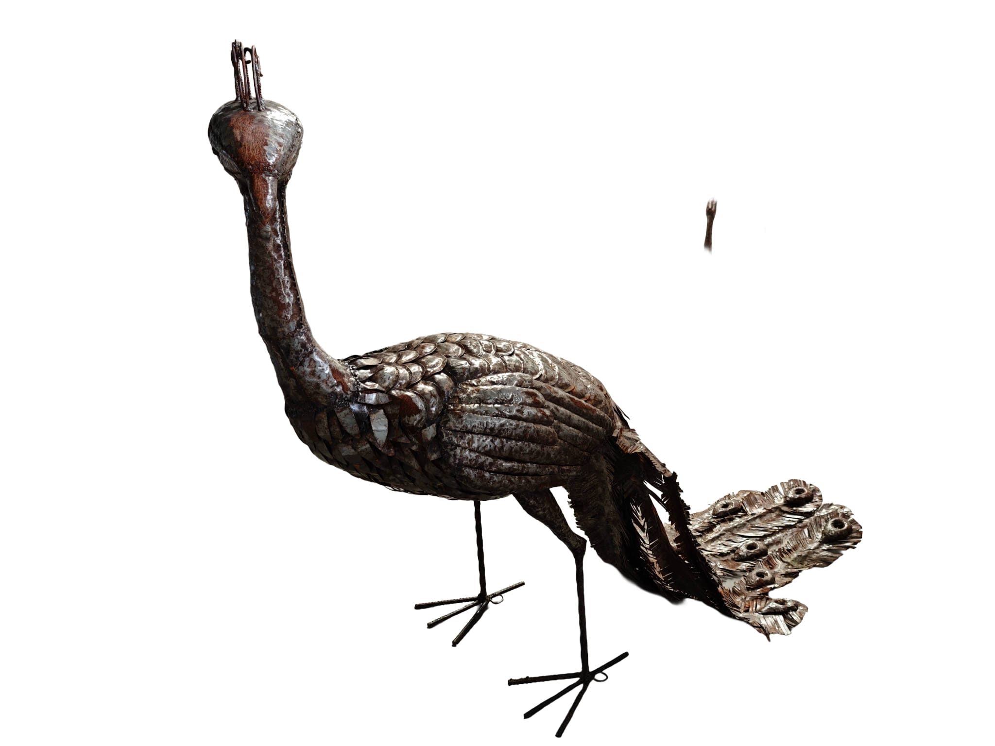 Groot tuinbeeld Pauw van metaal staart omlaag 170cm eliassen.nl