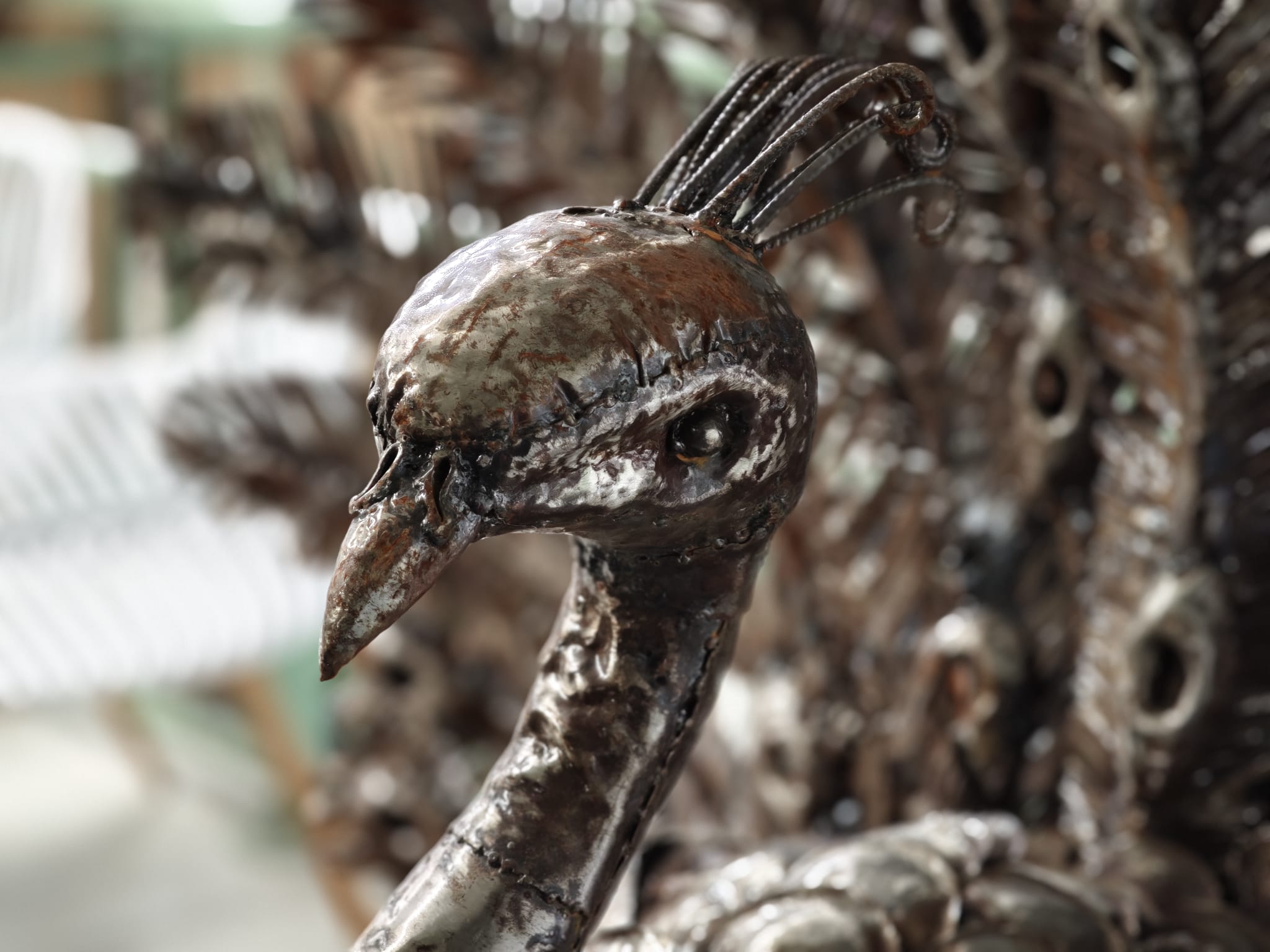 Supergroot tuinbeeld pronkende Pauw met gespreide staart van metaal 160cm eliassen.nl 6