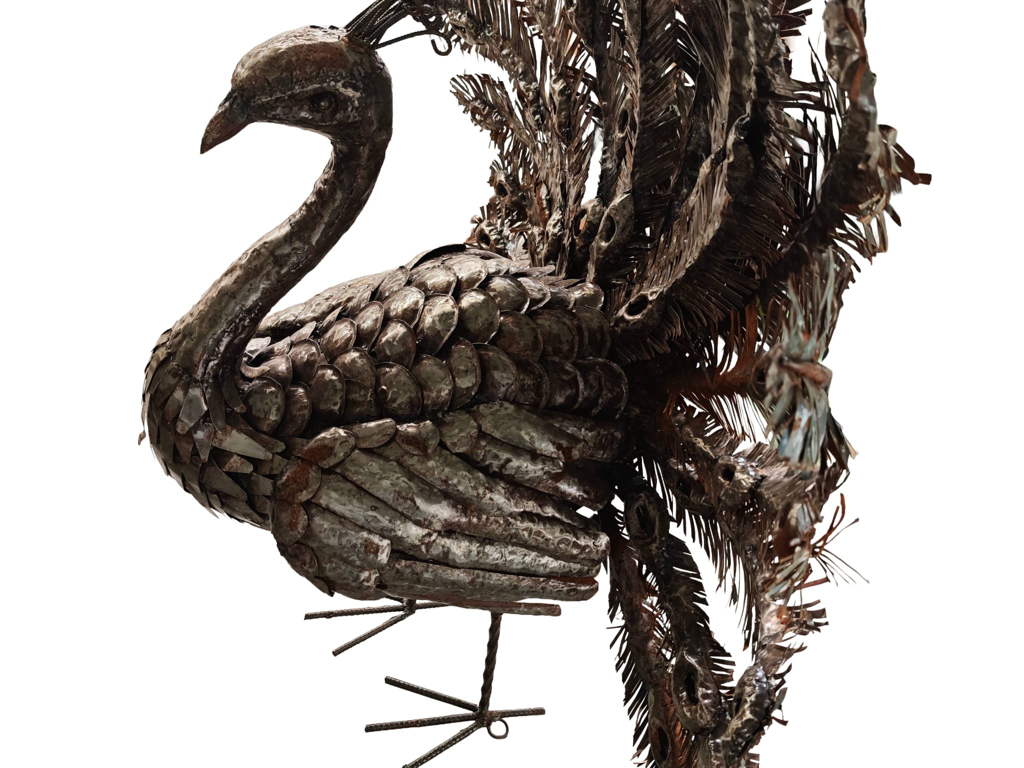 Supergroot tuinbeeld pronkende Pauw met gespreide staart van metaal 160cm eliassen.nl 6