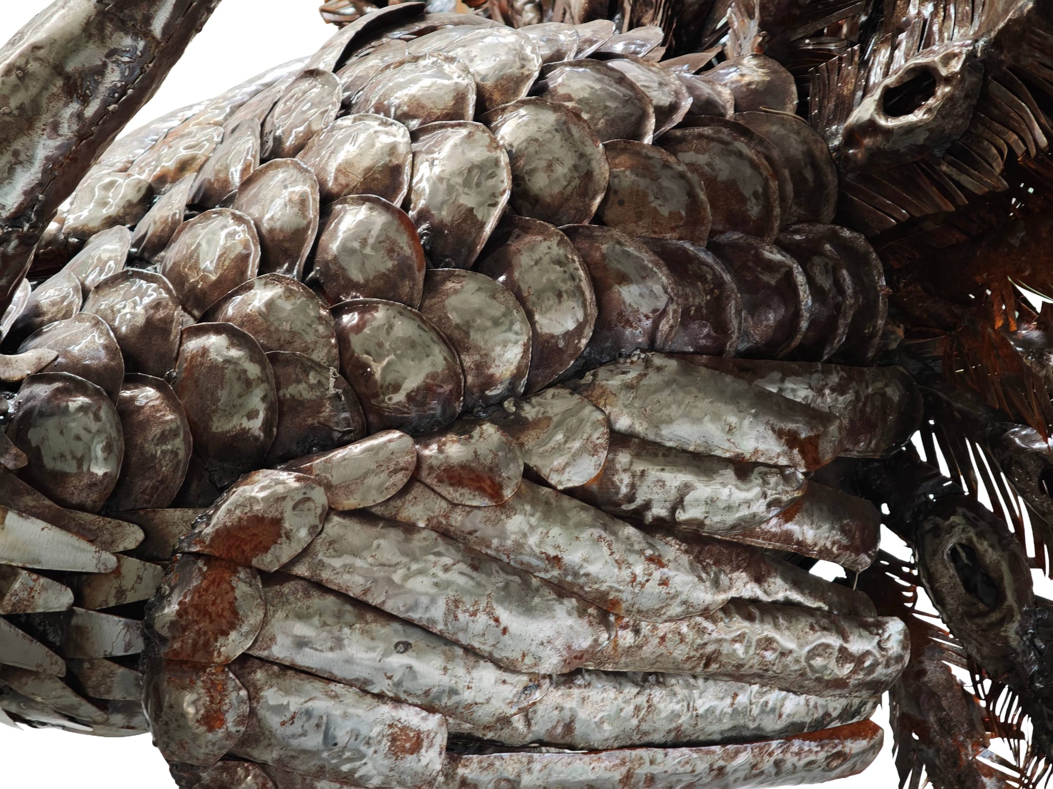 Supergroot tuinbeeld pronkende Pauw met gespreide staart van metaal 160cm eliassen.nl 6