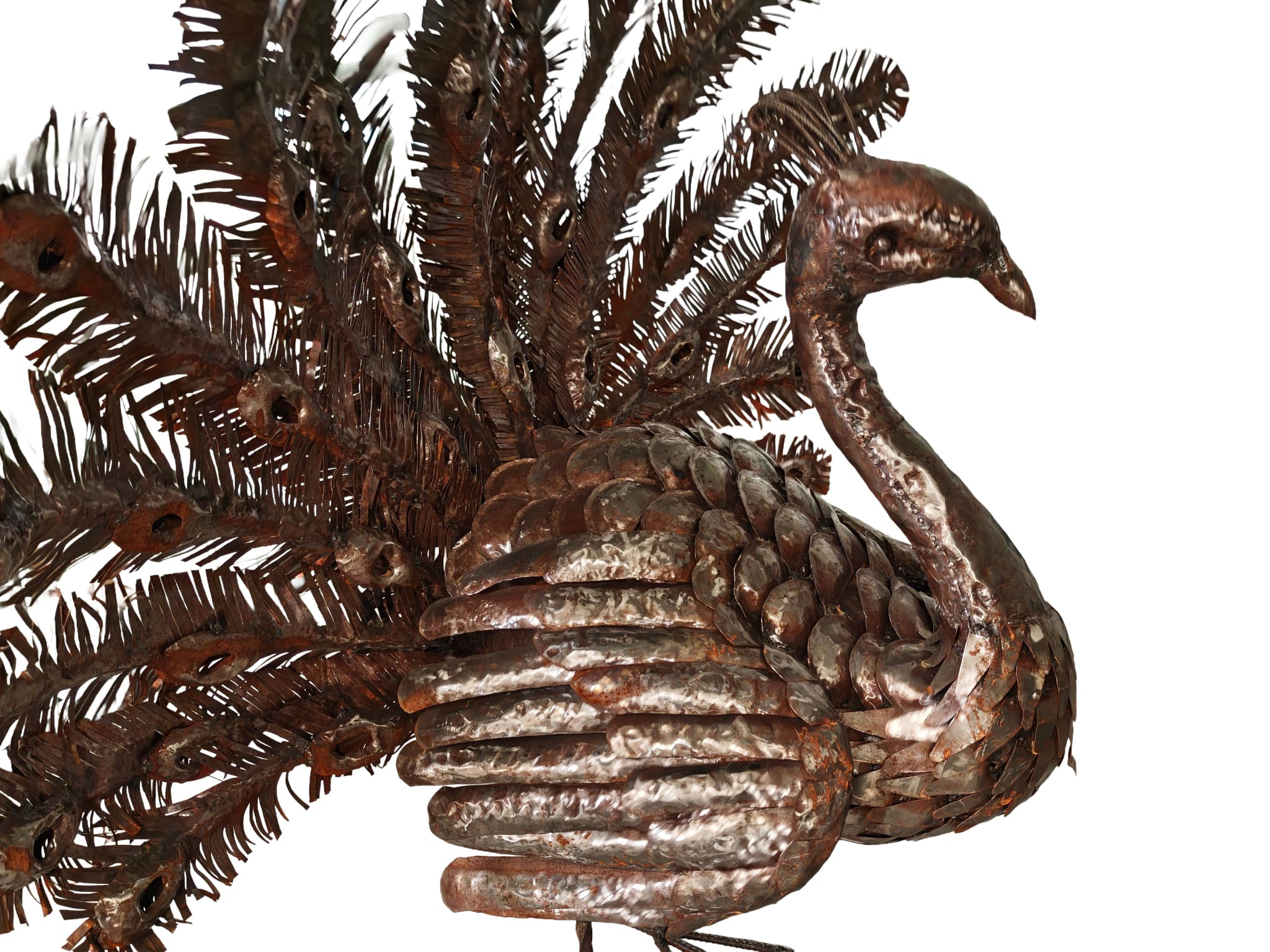 Supergroot tuinbeeld pronkende Pauw met gespreide staart van metaal 160cm eliassen.nl 6